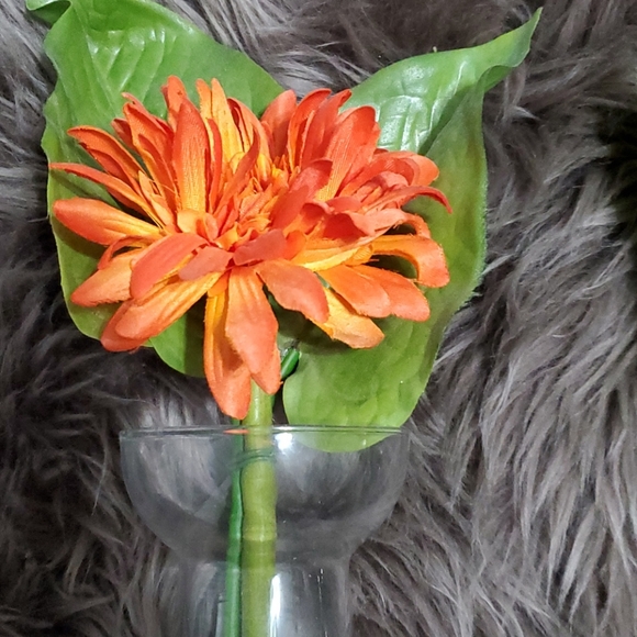 Orange Flower in the Glass Vase - Picture 4 of 6